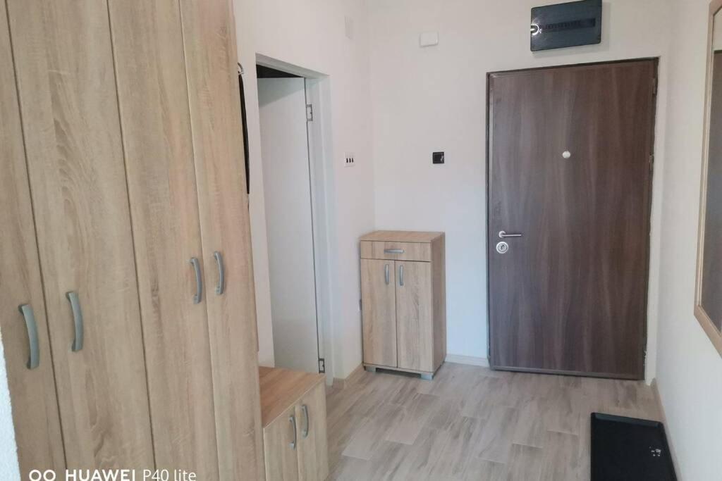 Apartment Rajic Golubac Exterior foto