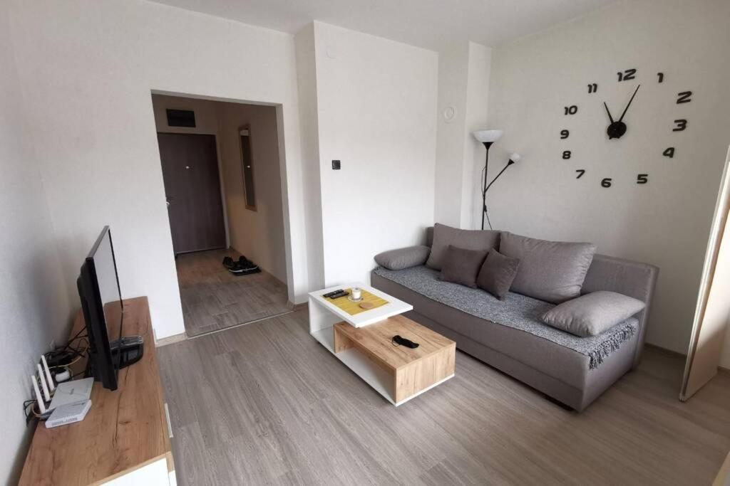 Apartment Rajic Golubac Exterior foto