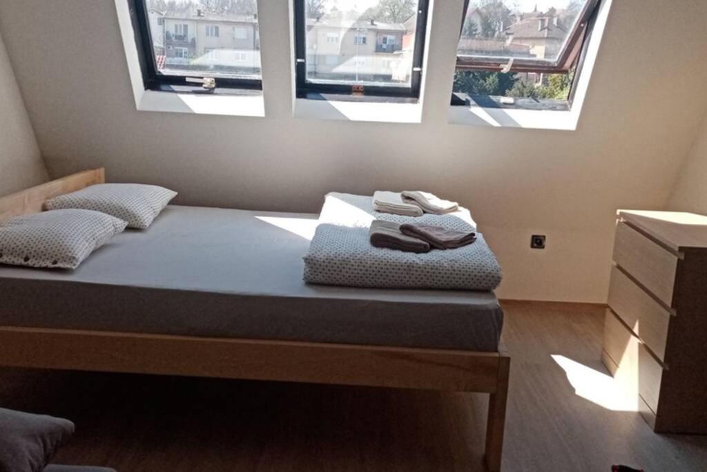 Apartment Rajic Golubac Exterior foto