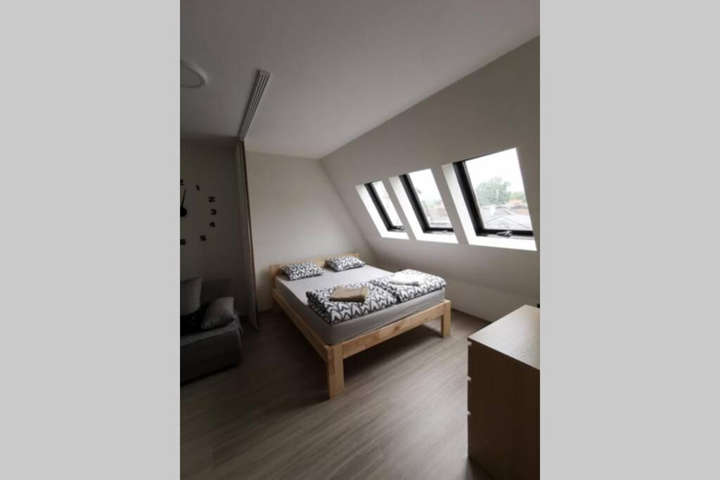 Apartment Rajic Golubac Exterior foto